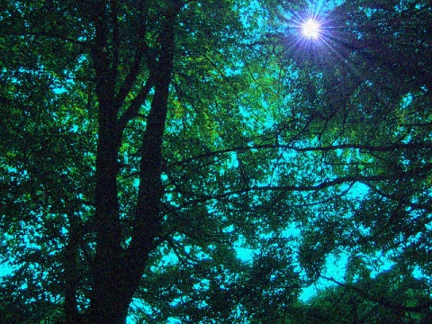 Deep Inner Peace and Harmony....... (.meditation )